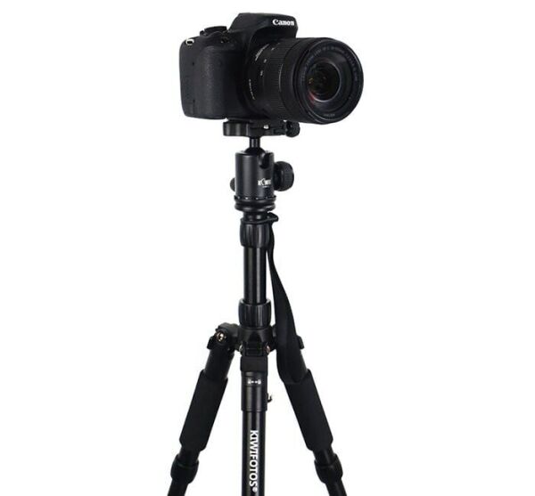 KIWIfotos Profesyonel Ball Head 150 cm Tripod (Monopoda Dönüşebilir)