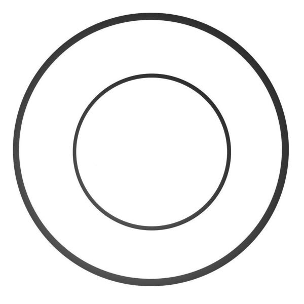 Ikelite DSLR Kabin ve Port O-ring (Tip 1)