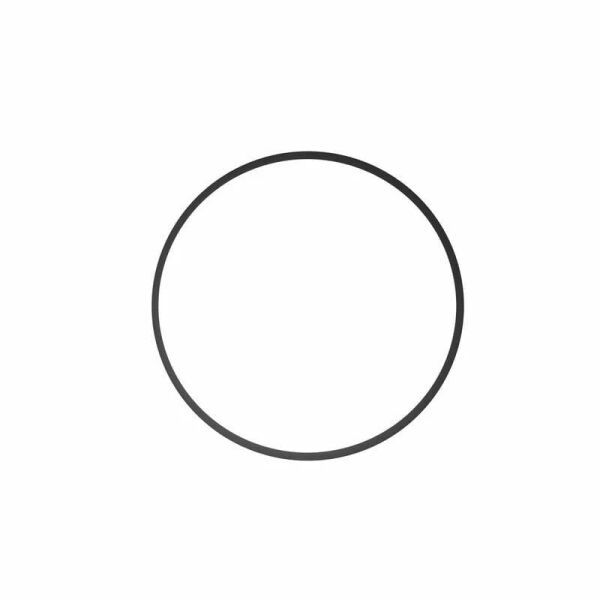 Ikelite O-Ring