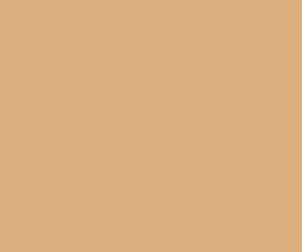 Lastolite 9025 2,72X11M. Paper Sandstone Karton Fon