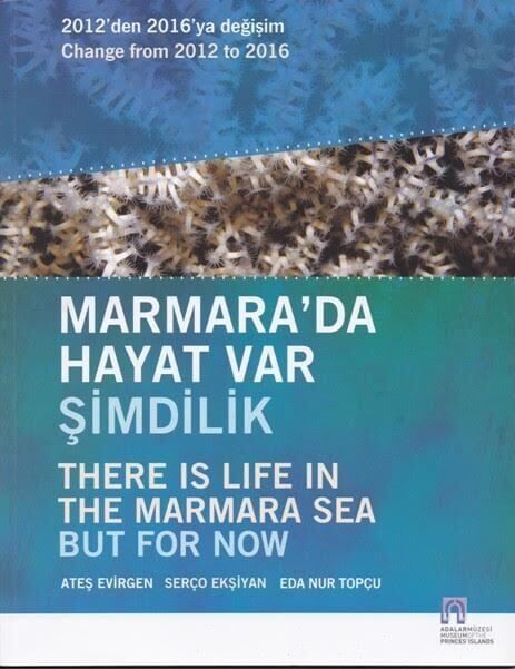 Marmara'da Hayat Var, Şimdilik-2