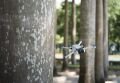 DJI Mini 3 Pro (DJI Rc Ekranlı Kumandalı)